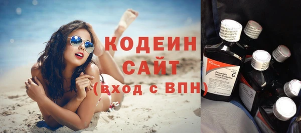 индика Белокуриха