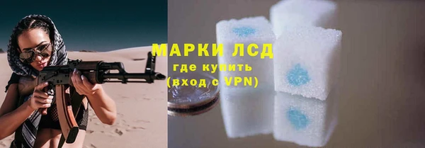 индика Белокуриха